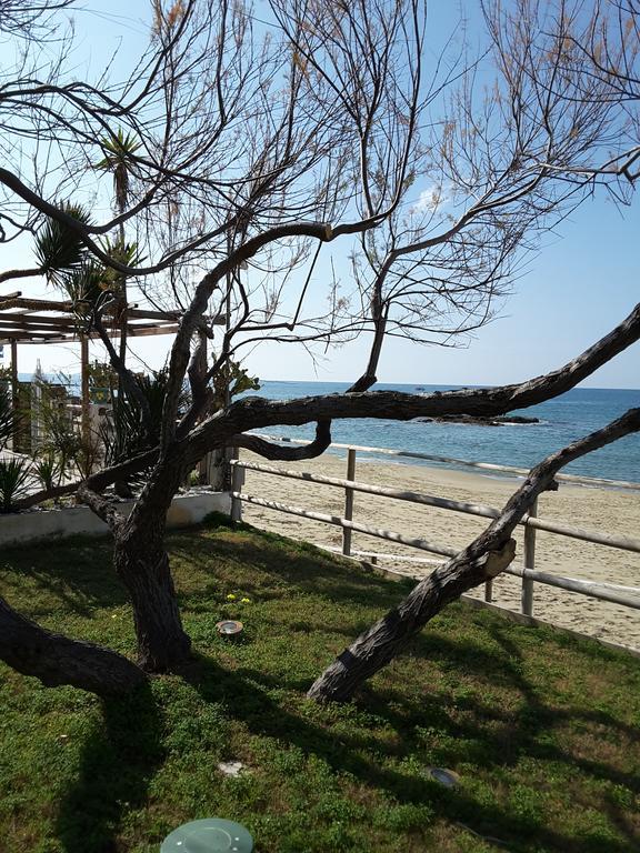 Hotel E Residence Il Faro Acciaroli Eksteriør billede
