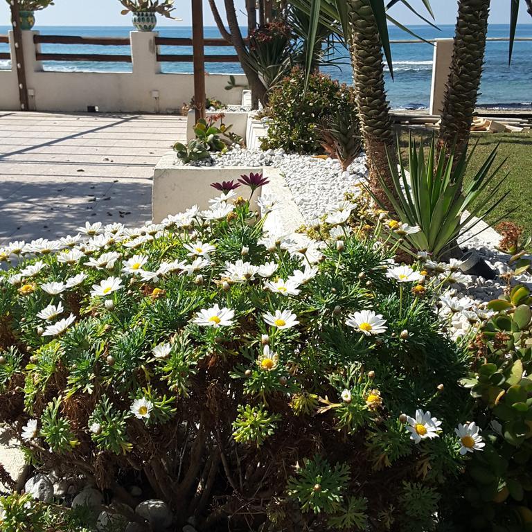 Hotel E Residence Il Faro Acciaroli Eksteriør billede